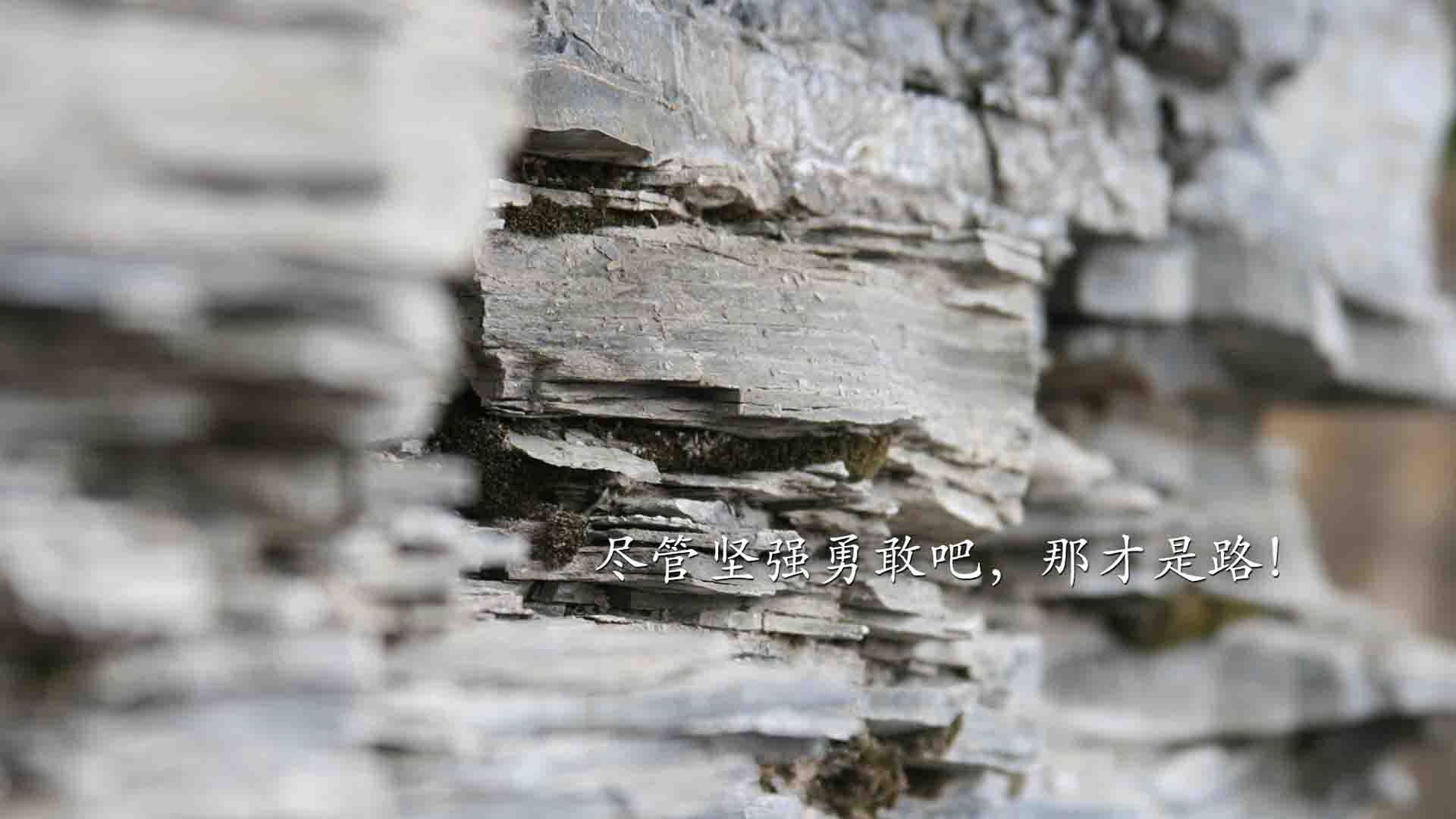 武切维奇攻防转换核心显威，鹈鹕主场掀翻湖人