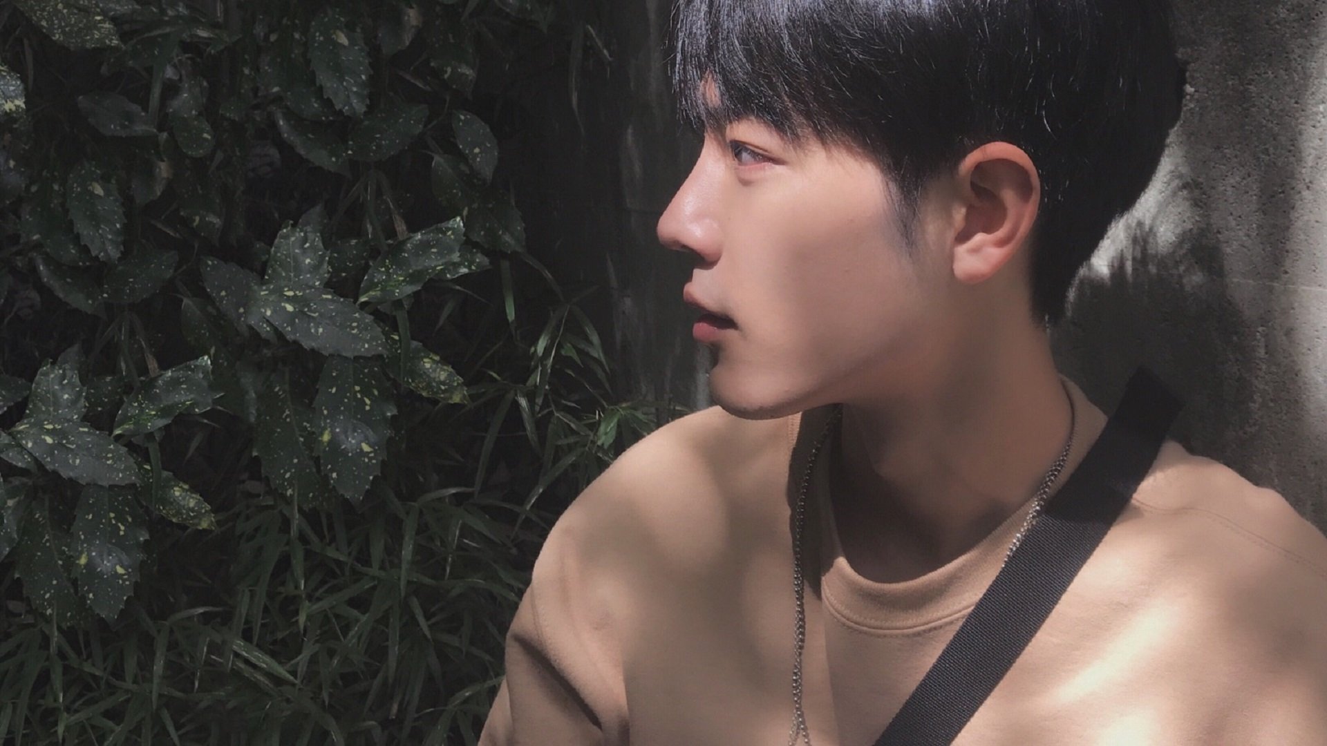 破解攻防转换的凯尔特人密码，塔图姆引领第三节风暴拉开太阳