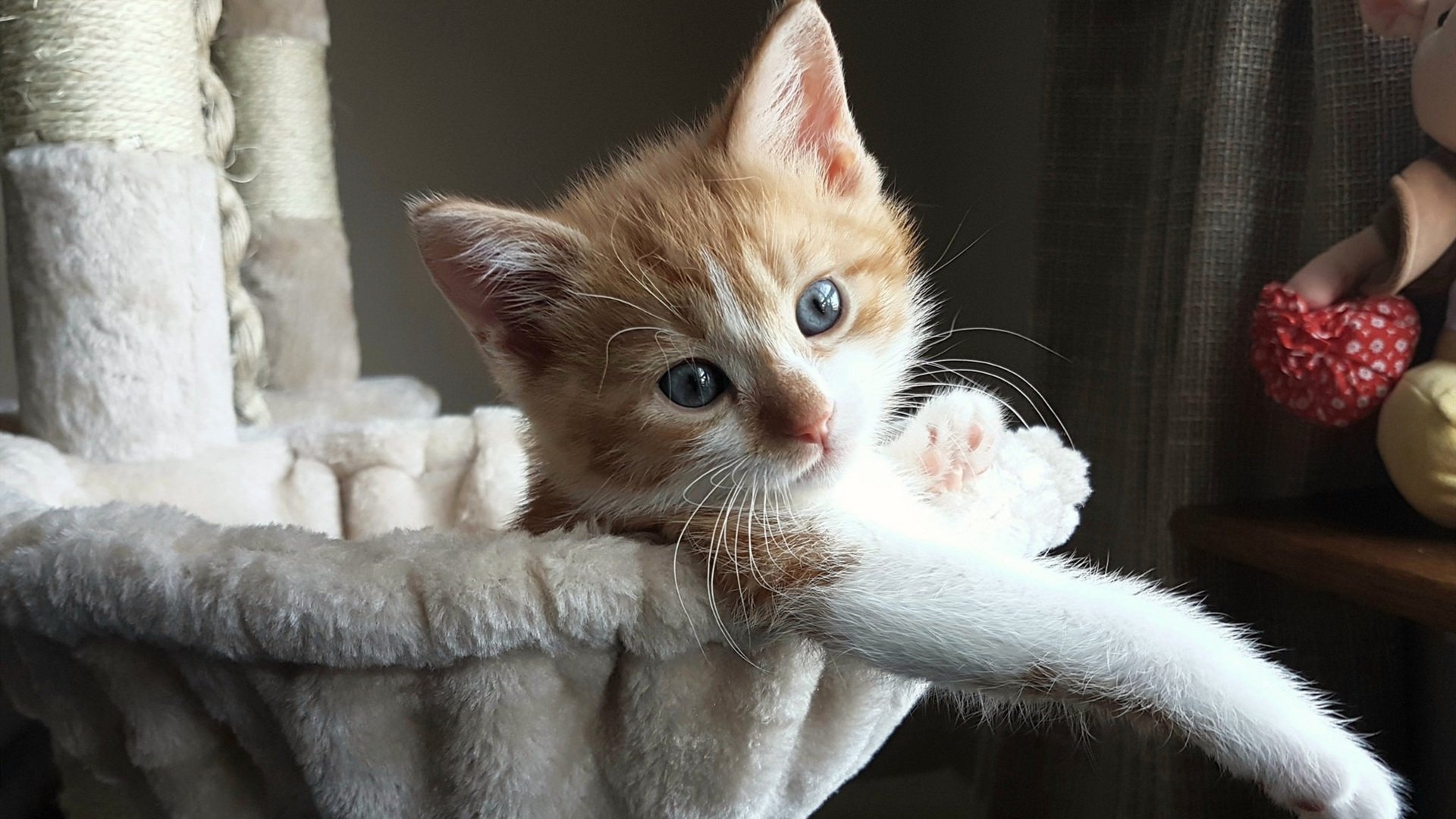 街道赛风云，勇士车队在雄鹿赛道上的压倒性胜利