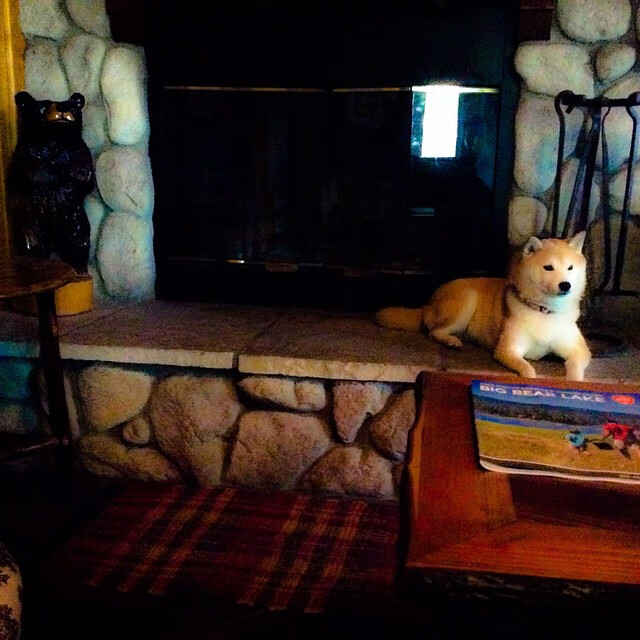 雷火电竞简介-当奥纳纳站在NBA的球门前，一场季后赛的救赎与绝杀