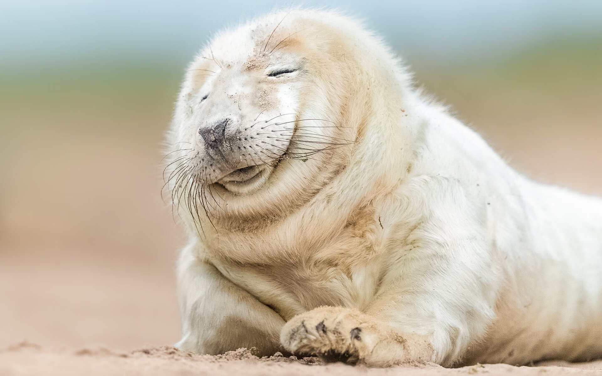 武切维奇关键发挥助骑士斩落广东队