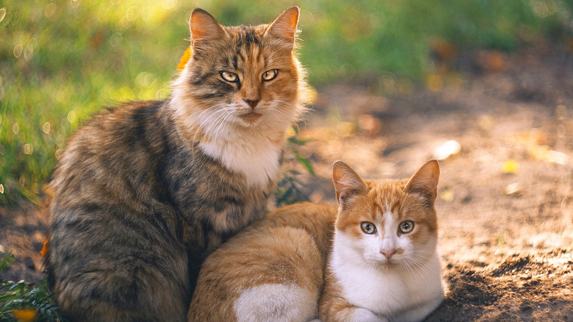 雷火电竞简介-一球点金！阿圭罗巨星光芒照亮雷恩险胜之路