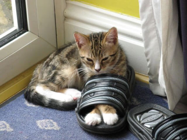 魔高一丈，当钢铁森林溃于奔流的闪电—班凯罗如何成为攻防转换的绝对核心