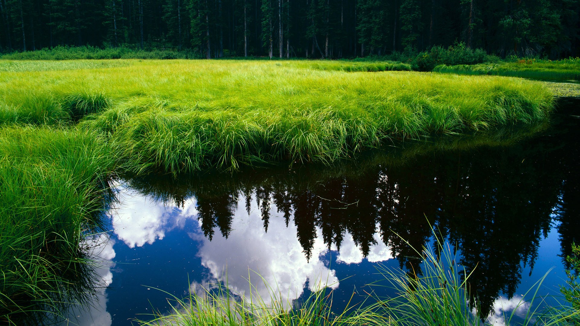 引擎轰鸣中的绿茵指挥官,当京多安在F1争冠之夜掌控全场