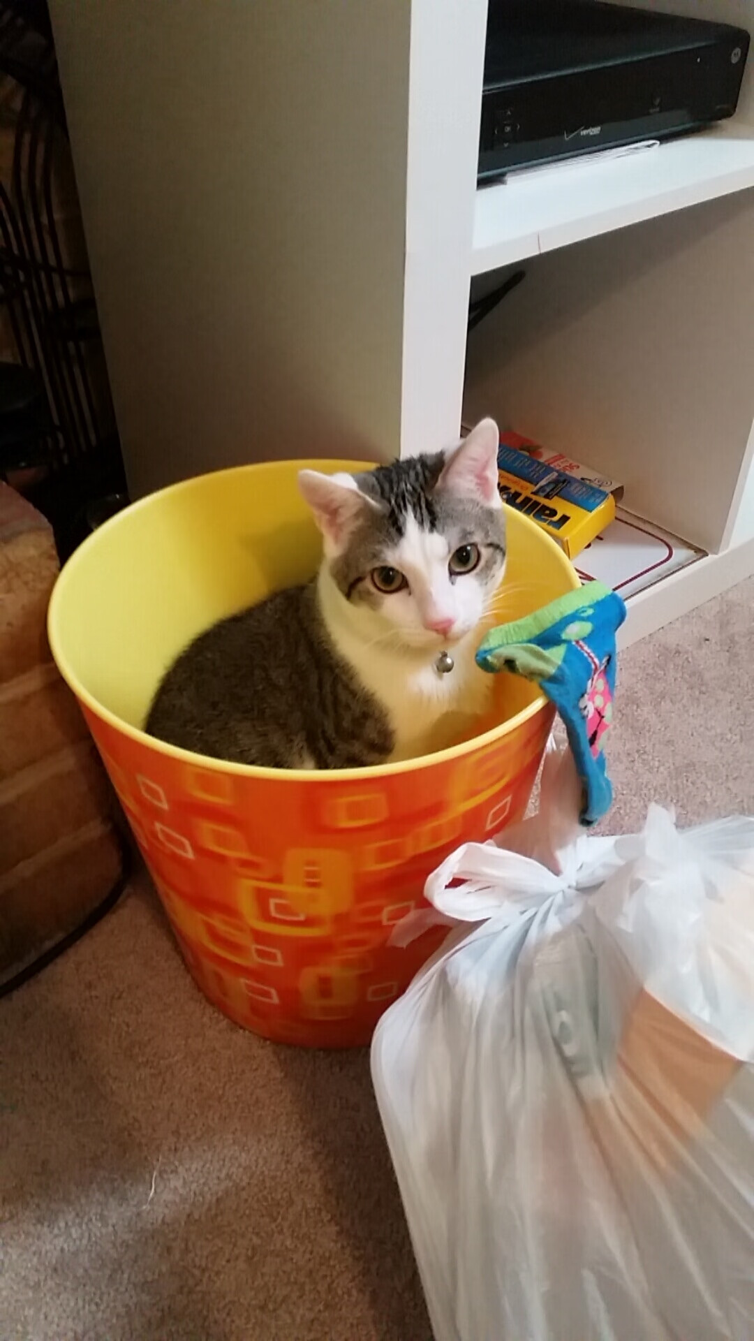 法棍与手术刀,森林狼用最复古方式宣告新生,切特证明自己才是步行者最畏惧的刀锋