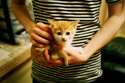 候选(思维扩展)