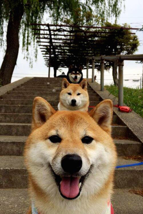 雷火电竞下载-王朝的黄昏与新神的登基，热火斩落活塞背后的时代隐喻