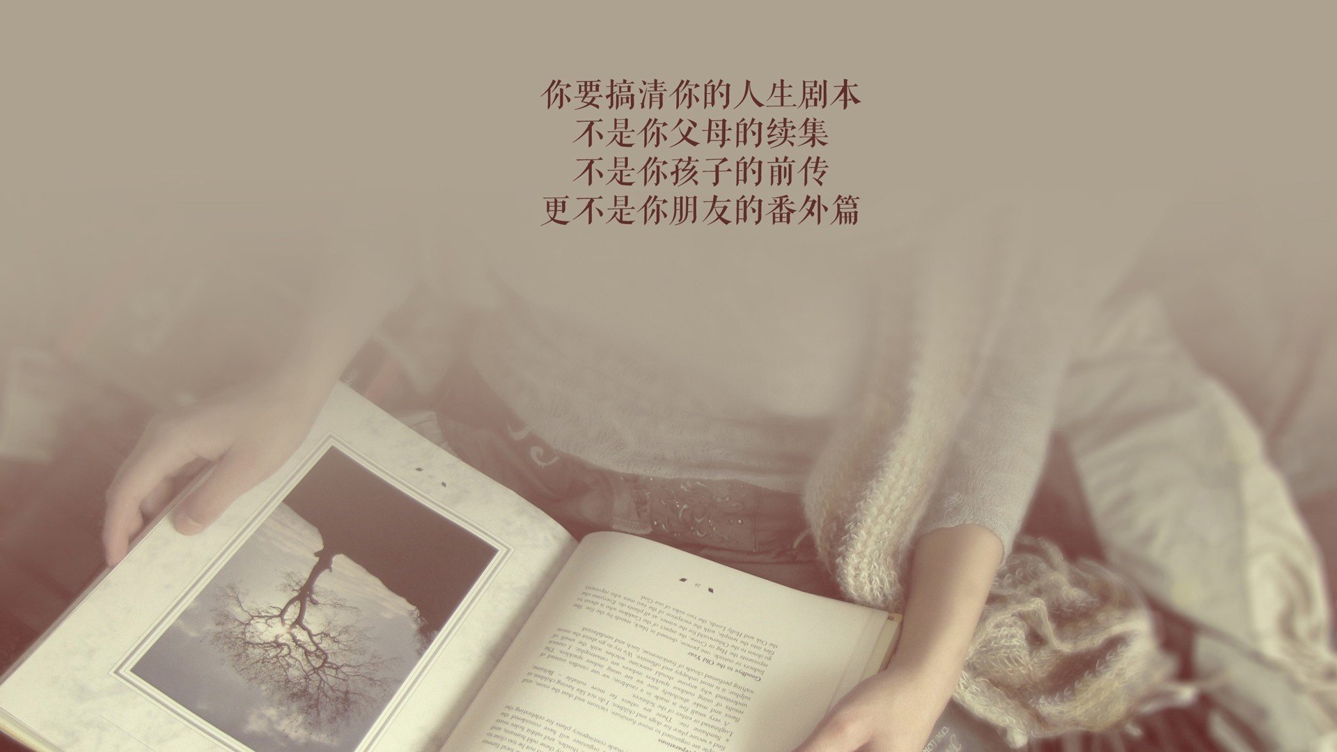 当神话撞上现实,伊布一人的神域,与威尔士万人的边境