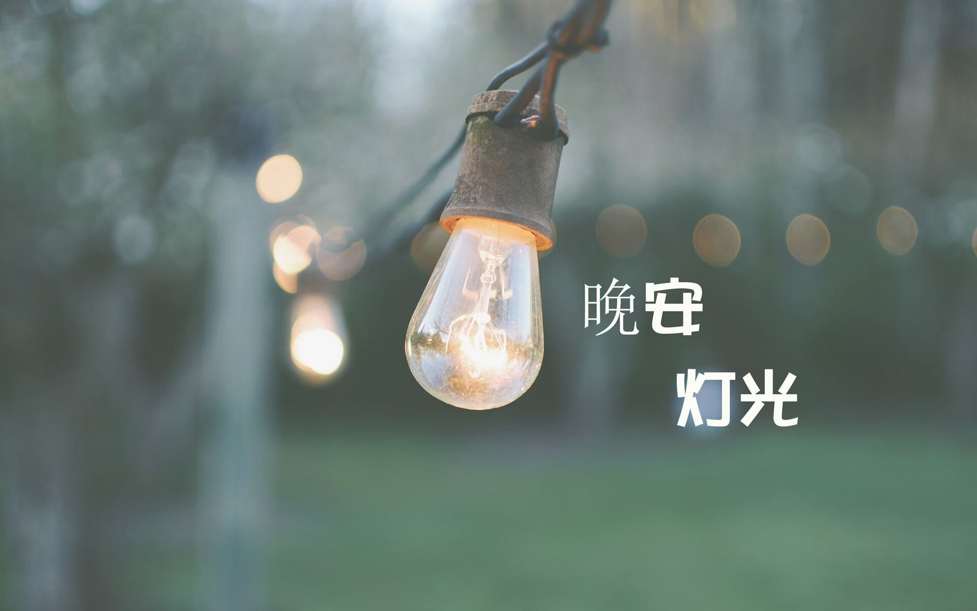 那一夜，上海滩的惊雷与孟菲斯的独白，一场无法复刻的唯一正名