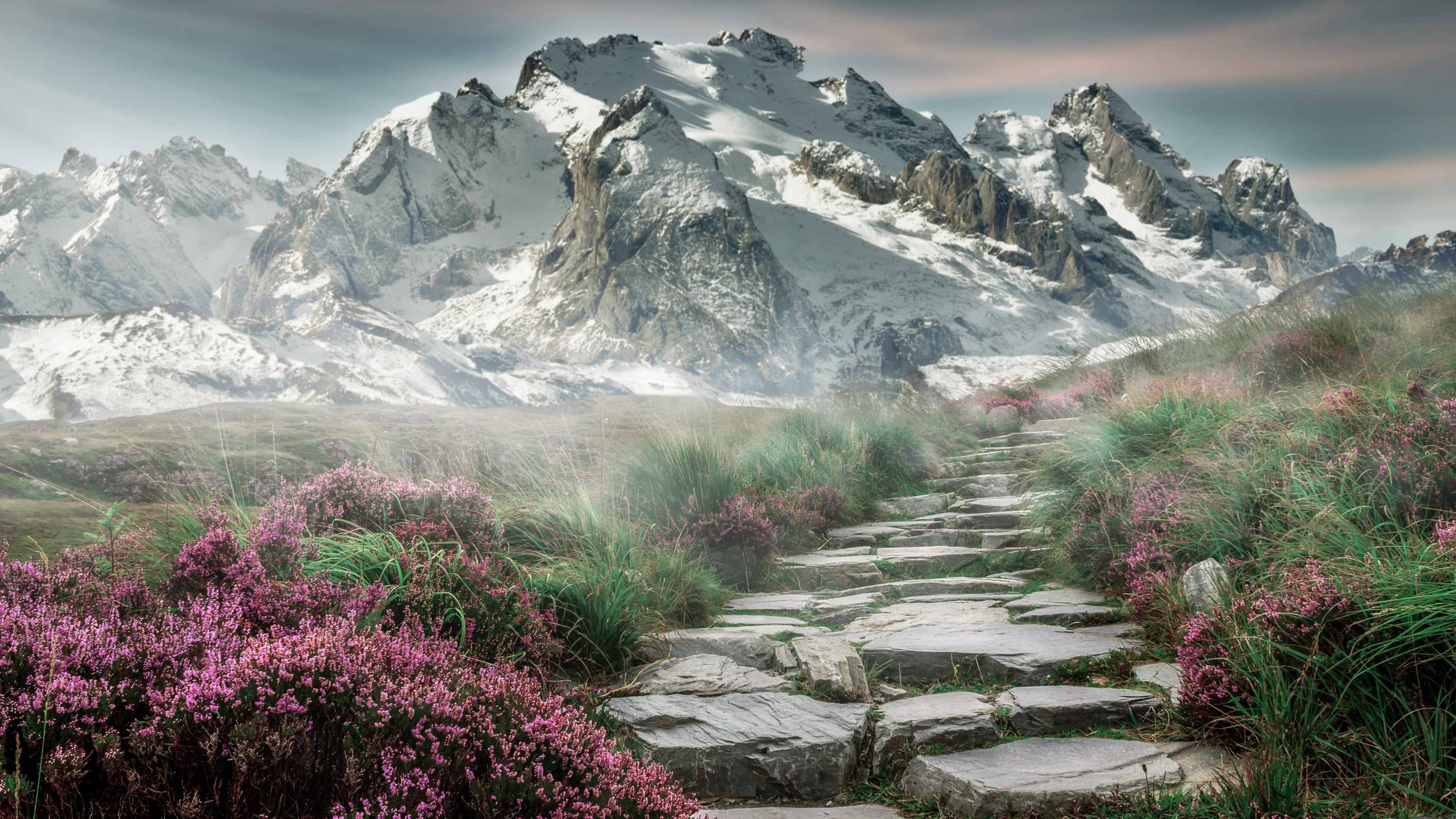 宿命之组，2026世界杯A组强强对话，智利横扫厄瓜多尔，苏亚雷斯一役封神