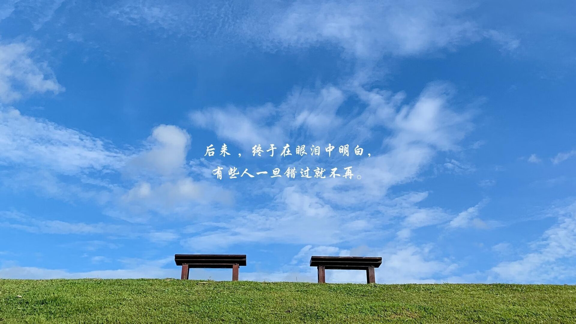 2026世界杯C组惊雷，沙特风暴横扫哥伦比亚，凯恩孤勇者式进攻闪耀北美
