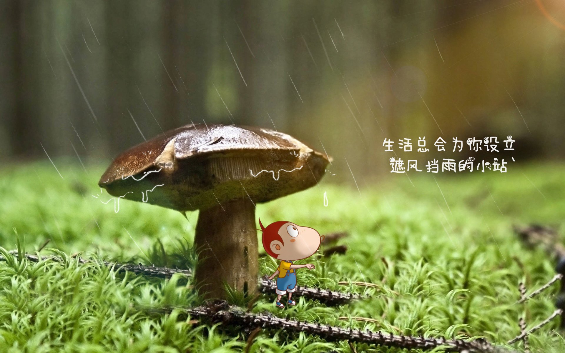 雷火电竞简介-孤注一掷的狂想，2026世界杯，苏亚雷斯在匈牙利与泰国之间的奇幻决战