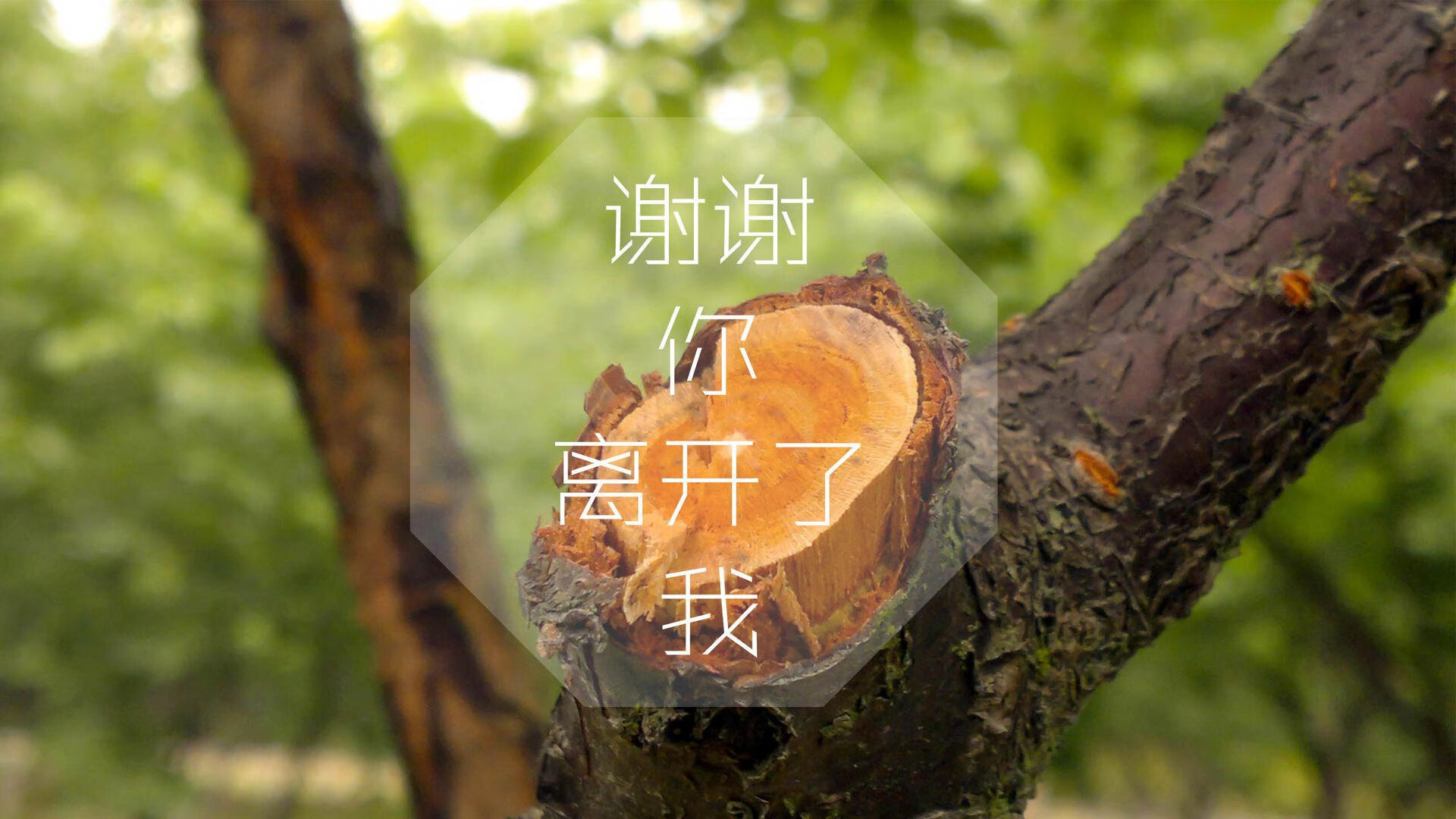 这是一篇为您定制的、具有唯一性的赛事评论文章