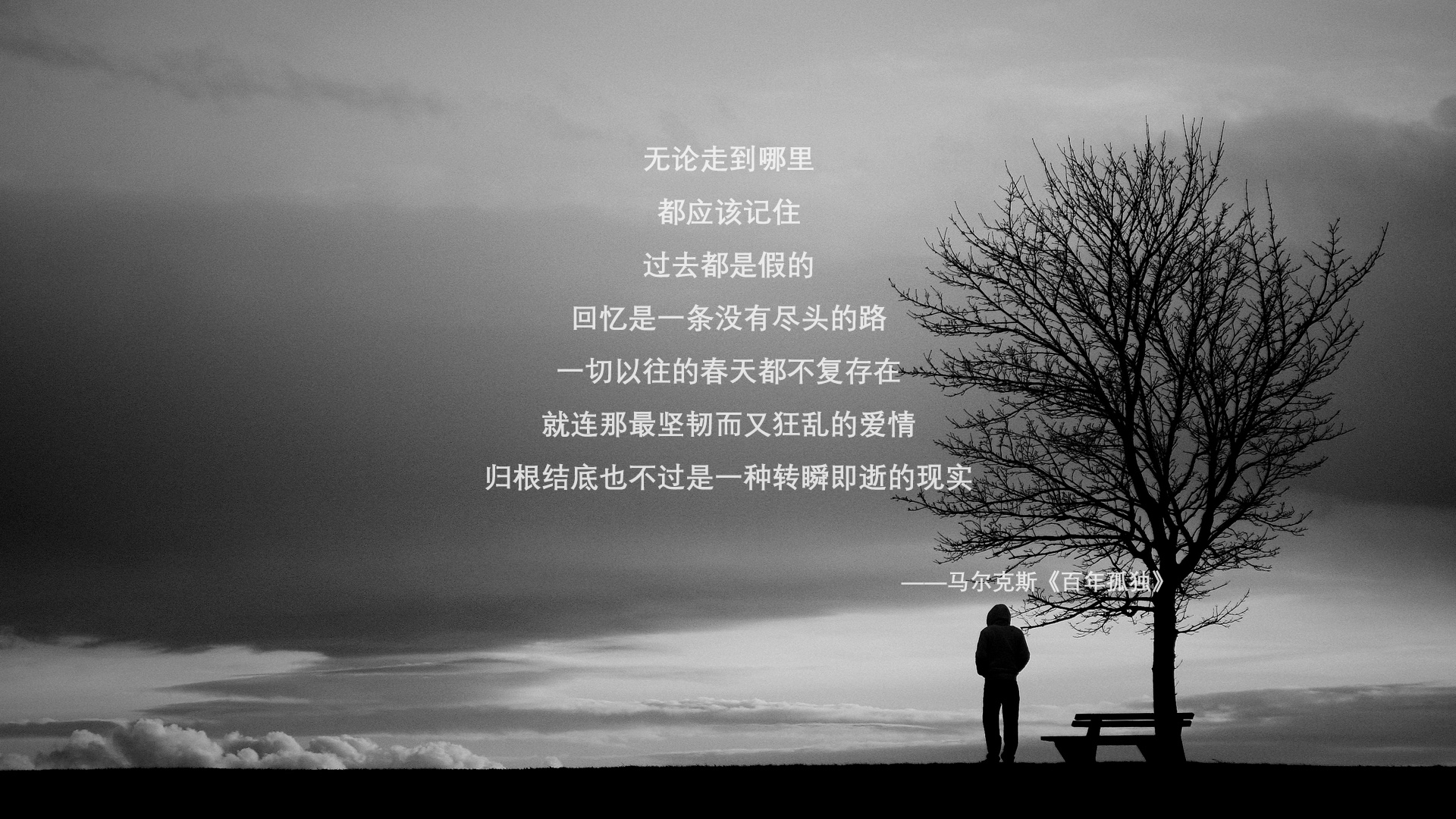 冰山与武士的碰撞,厄瓜多尔用控球与锋芒,在日本面前刻下2026世界杯的冷峻寓言
